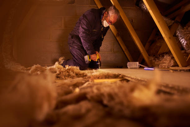 Best Geographic-Specific Insulation Services in Kenmar, PA